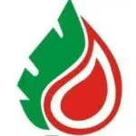 GRADUATE INTERNSHIP PROGRAM At Stockgap Fuels Limited